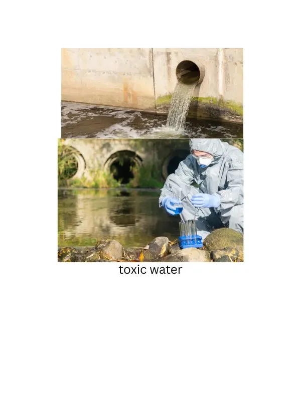 Attorney for Camp Lejeune water contamination claims